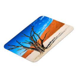 Dode boom in Deadvlei, Namibië Magneet