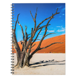 Dode boom in Deadvlei, Namibië Notitieboek