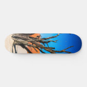 Dode boom in Deadvlei, Namibië Skateboard (Horizontaal)