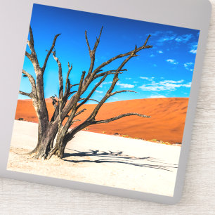 Dode boom in Deadvlei, Namibië Sticker