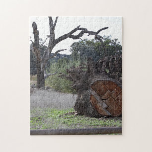 Dode boom legpuzzel