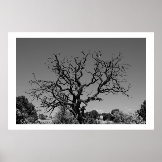 Dode boom poster (Voorkant)