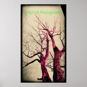Dode boom poster