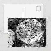 dode cactus briefkaart (Voorkant / Achterkant)