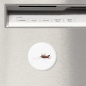 Dode cockroach magneet (Insitu (Vaatwasser))