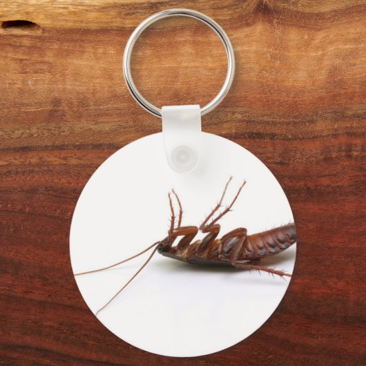 Dode cockroach sleutelhanger (Voorkant)