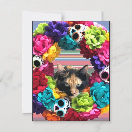 Dode Kat Dag  Feestdagenkaart (Voorkant)