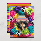 Dode Kat Dag  Feestdagenkaart (Voorkant / Achterkant)