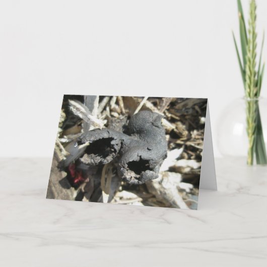 Dode Mannen Fingers Mushroom Note Kaart (Voorkant)