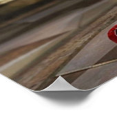 DODE OF LEEF 5 LAATSTE RONDE MARIE ROOS POSTER (Hoek)