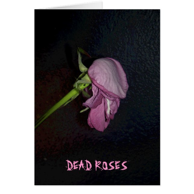 Dode Rozen: De bloem is van de bloesem, baby. (Voorkant)