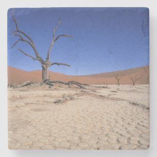 Dode Vlei, Sossusvlei, Namib-Naukluft Nationaal Stenen Onderzetter