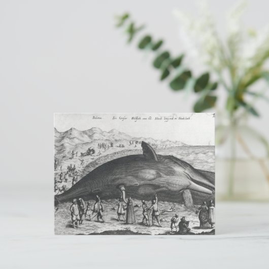 Dode walvis briefkaart (Staand voorkant)