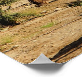 Dode Zee landschapsfoto Poster (Hoek)