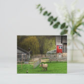 Dodge Natuur Center Briefkaart (Staand voorkant)