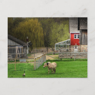 Dodge Natuur Center Briefkaart