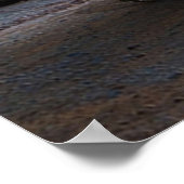 Dodge Ram 1500 TRX Poster (Hoek)