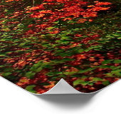 Dodge Road Mist Print met Scriptversie (Hoek)