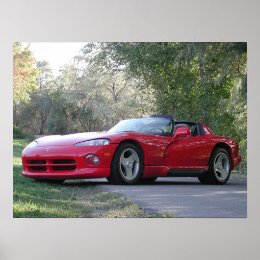 Dodge Viper RT/10 Poster (Voorkant)