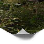 Dodge WC 57 Poster (Hoek)