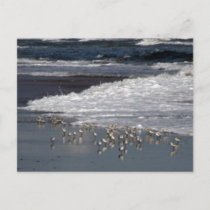Dodging van het Surf Briefkaart