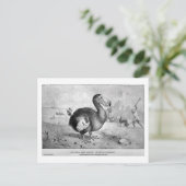Dodo art briefkaart (Staand voorkant)