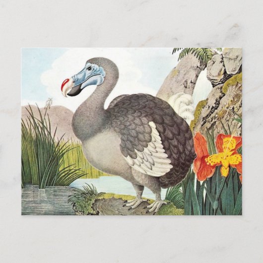  Dodo Bird Art Briefkaart (Voorkant)