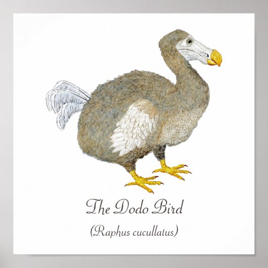 Dodo Bird Art Poster (Voorkant)