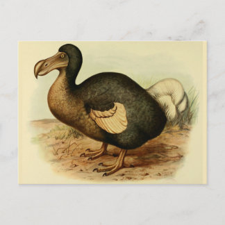 Dodo-Briefkaarten Briefkaart