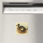 Dodo Magnet Magneet (Insitu (Vaatwasser))