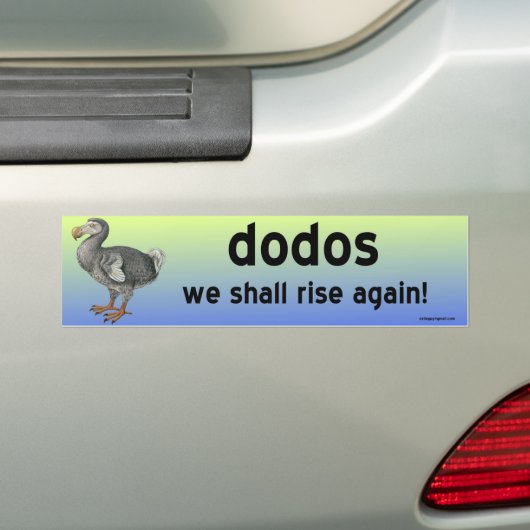 dodos bumpersticker (Op auto)