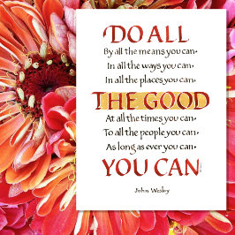 DOE AL HET GOEDE DAT JE WESLEY KUNT CITEREN POSTER