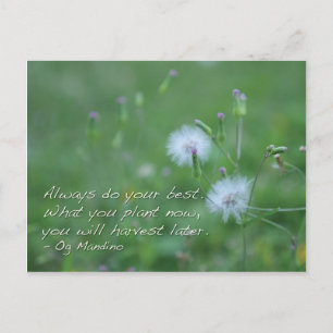 Doe altijd je best - motivatie quotes briefkaart