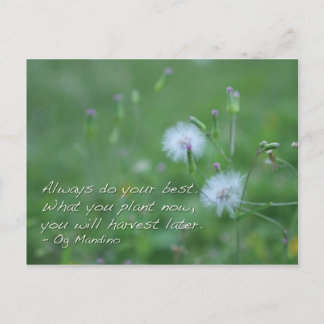 Doe altijd je best - motivatie quotes briefkaart