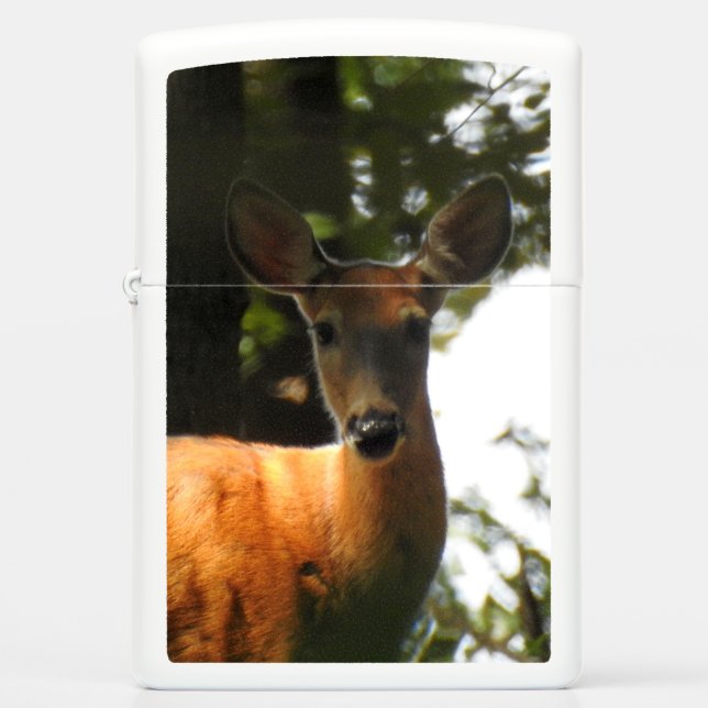 Doe, een Deer (Voorkant)