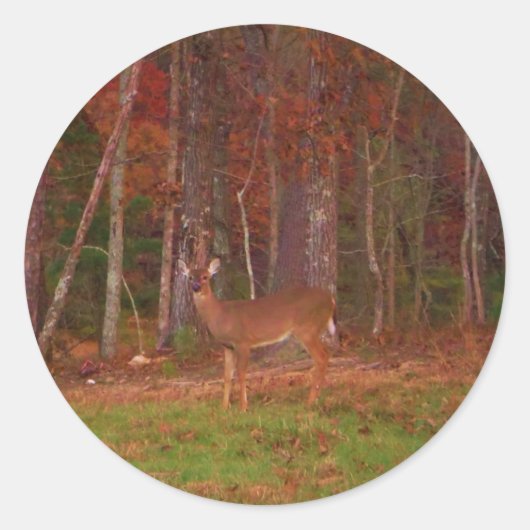Doe een Deer in het Arrowidenmeer Ronde Sticker (Voorkant)