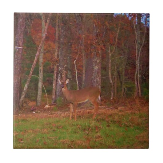 Doe een Deer in het Arrowidenmeer Tegeltje (Voorkant)