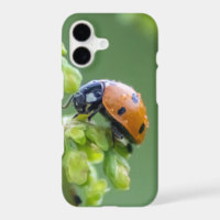 Doe een kleine ladybug voor je Smartphone!