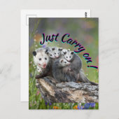 Doe gewoon door! briefkaart (Voorkant / Achterkant)