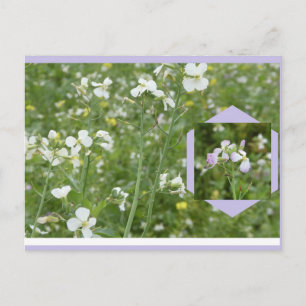 Doe-het-zelf-ansichtkaart met Meibloemen Feestdagenkaart