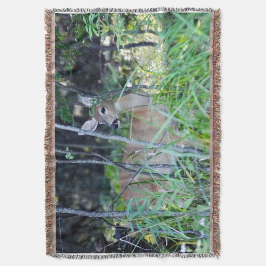 Doe Jeter la couverture (devant Vertical)