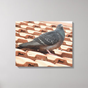 Doekprint met dakduif canvas afdruk