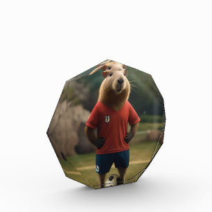 Doelpuntenmaker Capybara: de ultieme voetbalster! Fotoblokken