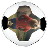 Doelpuntenmaker Capybara: de ultieme voetbalster! Voetbal (Gedraaid)