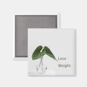 Doelstellingen van minder gewicht magneet (Voorkant / Achterkant)