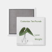 Doelstellingen van minder gewicht magneet (Voorkant / Achterkant)