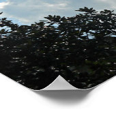 Doet 16:31 Geloof op de Heer Jezus Christus... Poster (Hoek)