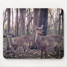 Doet op het Boerderij
