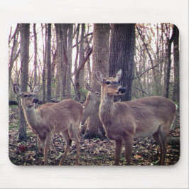 Doet op het Boerderij Muismat