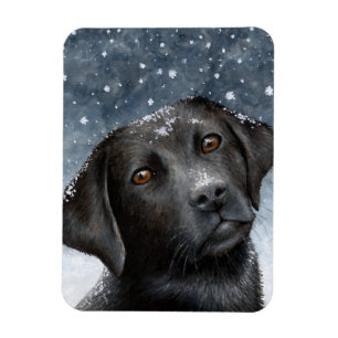 Dog 100 zwarte labrador fotomagneet magneet